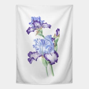 Iris Tapestry