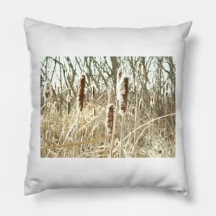 Cattails Pillow