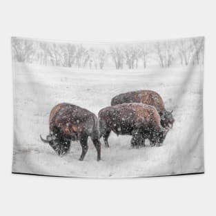 Frosty Bison Trio Tapestry