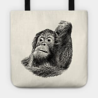 Orangutan Tote