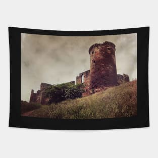 Ruins of Bothwell Castle Tapestry