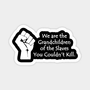 We are the grandchildren of the slaves you couldn't kill, Black Lives Matter, Black History, Black Power Magnet