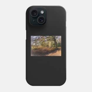 Sunny Winter Woodland  Digital Art Phone Case