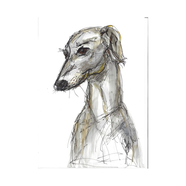 Portrait of a greyhound by atep