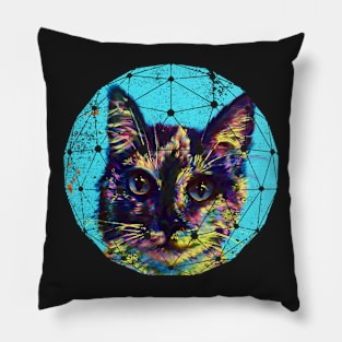 Globe Kitty Pillow