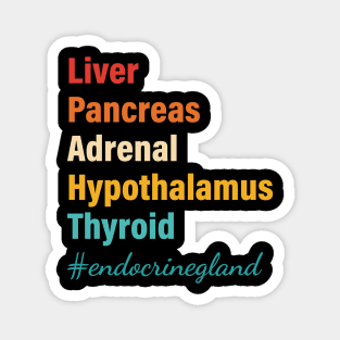 Liver Pancreas Adrenal Hypothalamus Thyroid Endocrine Gland Magnet