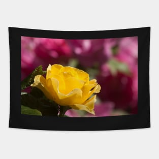 Yellow Rose Of Toronto Tapestry