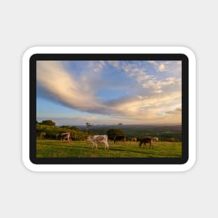 Maleny Sunset With Glasshouse Mountains & Cows Magnet