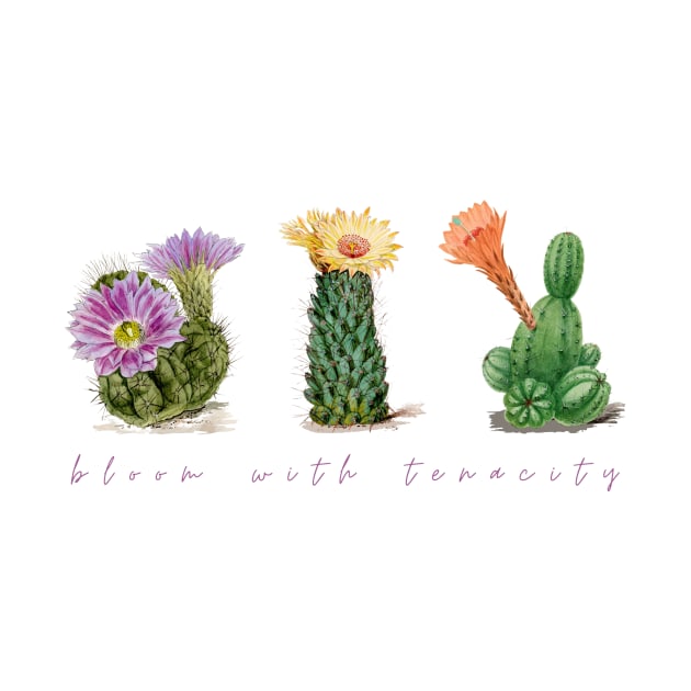 Cactus - Bloom with tenacity by Chasing Rabbit