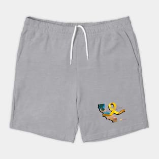 Rb Family Day Southern California - September 2025 Shorts