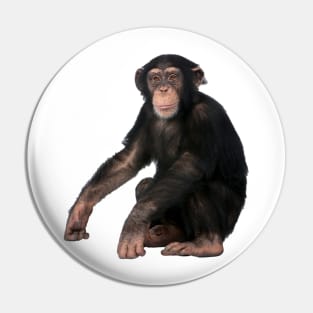 Chimpanzee Pin