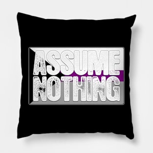 Assume Nothing Demisexual Pride Flag Pillow