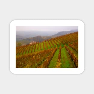 Vineyards of Barolo Magnet