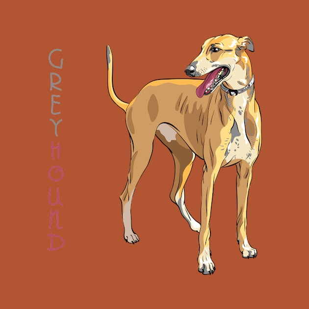 Dog breed Greyhound by kavalenkava