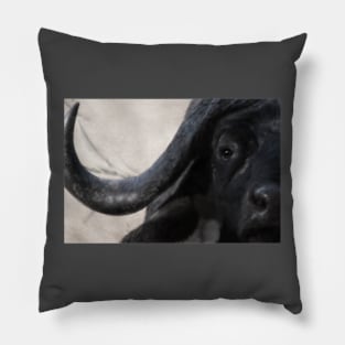 Cape Buffalo Pillow