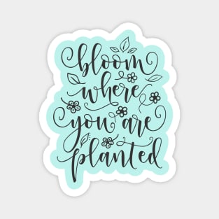 Bloom Where You Are Planted Magnet