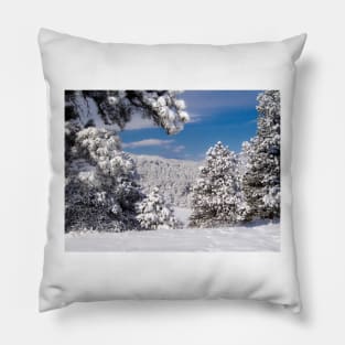 The Window into the Winter Pillow