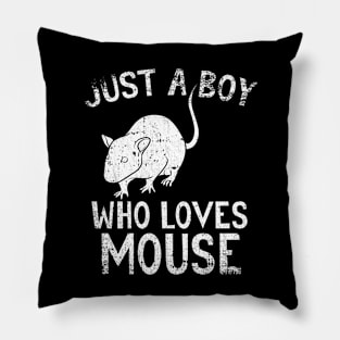 Just A Boy Who Loves Mouse Pillow