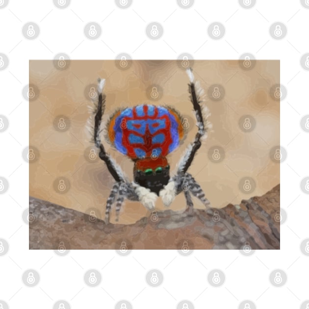 Peacock Spider Digital Painting by gktb