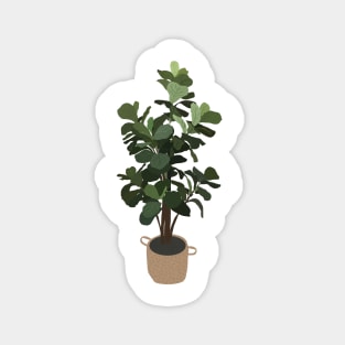 Fiddle Leaf Fig Tree Illustration Magnet