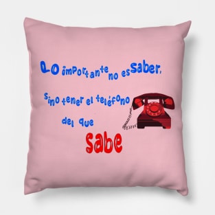 El que sabe, sabe Pillow