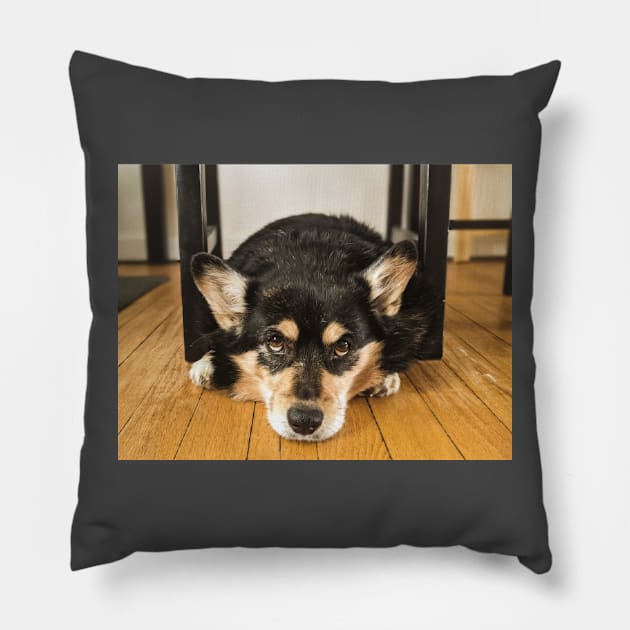 Corgi Kitchen Pillow by ThomasGallant