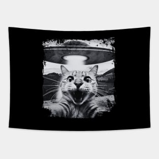 Cat Tapestry