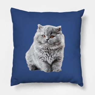 British Shorthair Longhair Cat Kitten Pillow