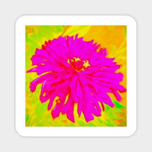 Chrysanthemum Magnet