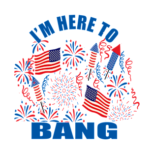 funny 4th of july T-Shirt