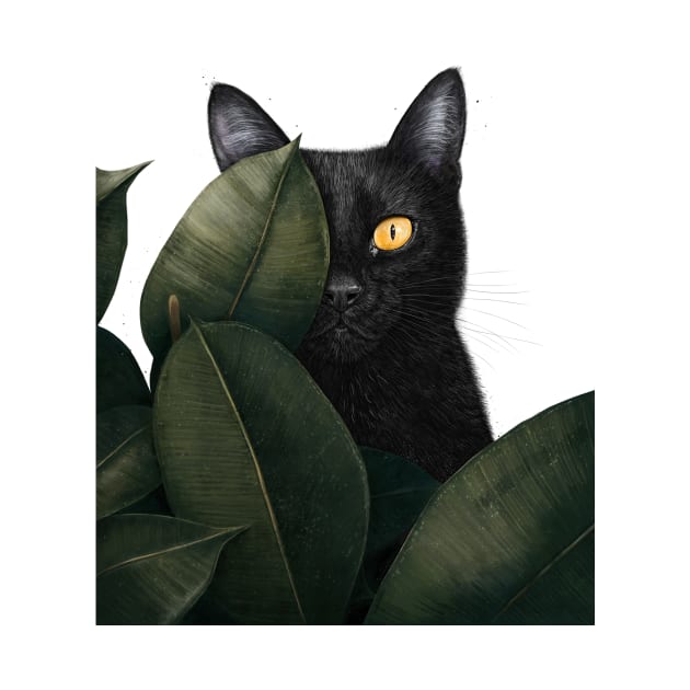 Black cat in ficus by kodamorkovkart