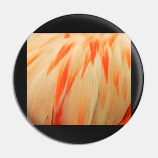 Flamingo Feathers Pin