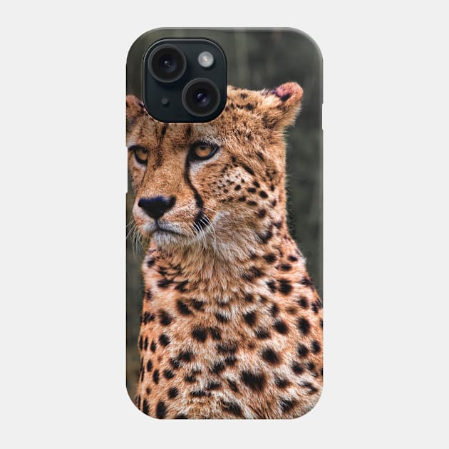 The Pensive Cheetah Phone Case by Chris Lord