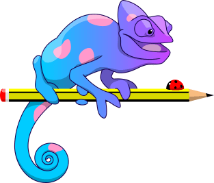 Colorblind chameleon Magnet