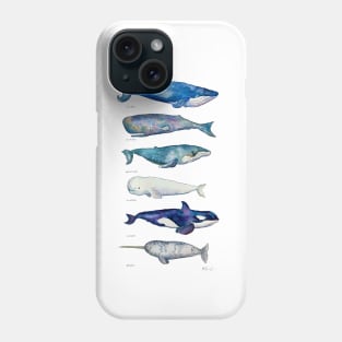 Whale Species Phone Case