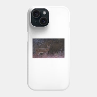 Snowy Buck - White-tailed deer Phone Case