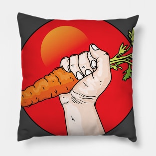 revolution ! Pillow