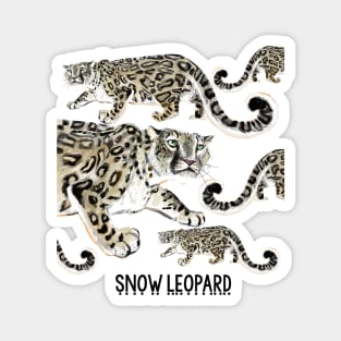 Snow Leopard #2 Magnet