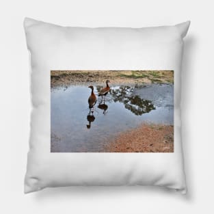 ducks in park the wetland landscape with lovely birds Pillow