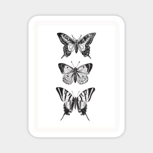 Vintage Butterfly engraving design Magnet