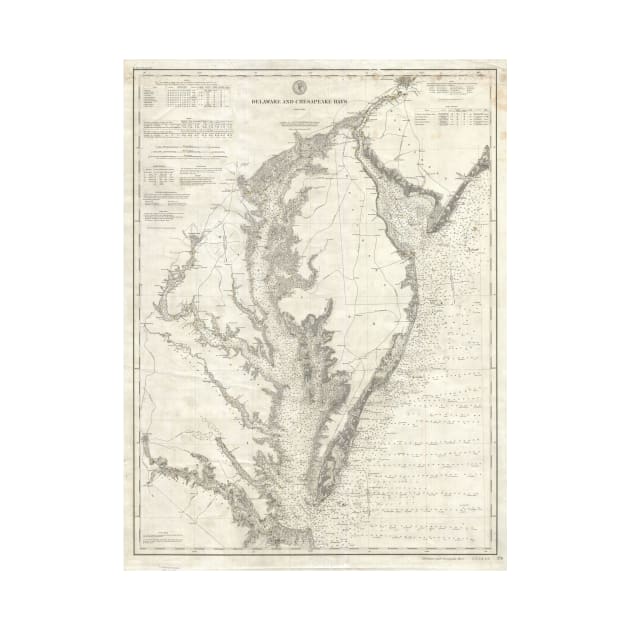 Vintage Map of The Chesapeake Bay (1893) by Bravuramedia