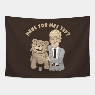 have you met ted? (colab with Raffiti) Tapestry