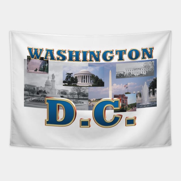Washington, D.C. Tapestry by teepossible