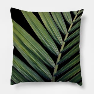 PALM LEAF DESIGN Pillow