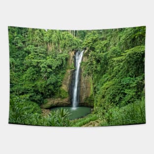 Alalum Falls, Sumilao, Bukidnon, Mindanao, Philippines Tapestry