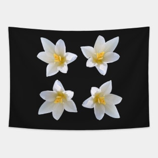 White Crocus Bouquet No Background Tapestry