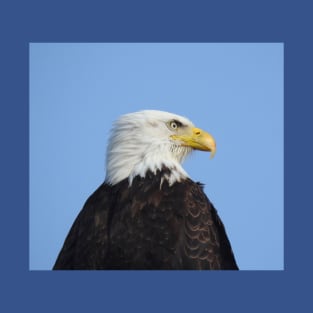 Bald eagle, wildlife, gifts, birds, eagles T-Shirt