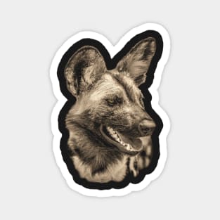 African Wild Dog Close-up Magnet