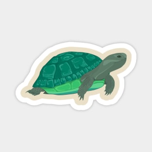 turtle Magnet