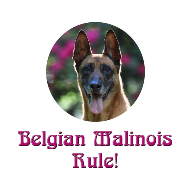 Belgian Malinois Rule! by Naves